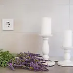 Tina روغوزنيكا