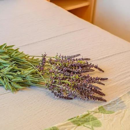 Tina Rogoznica (Sibenik-Knin)