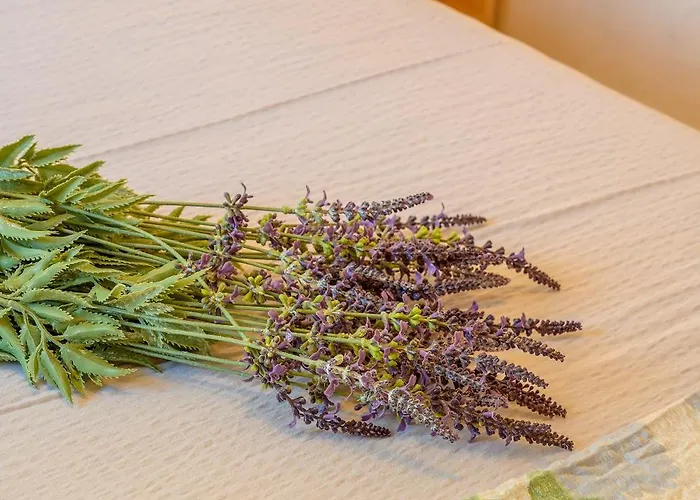 Tina Rogoznica (Sibenik-Knin)